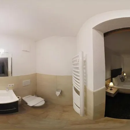 公寓式酒店 Fritzhof 4*